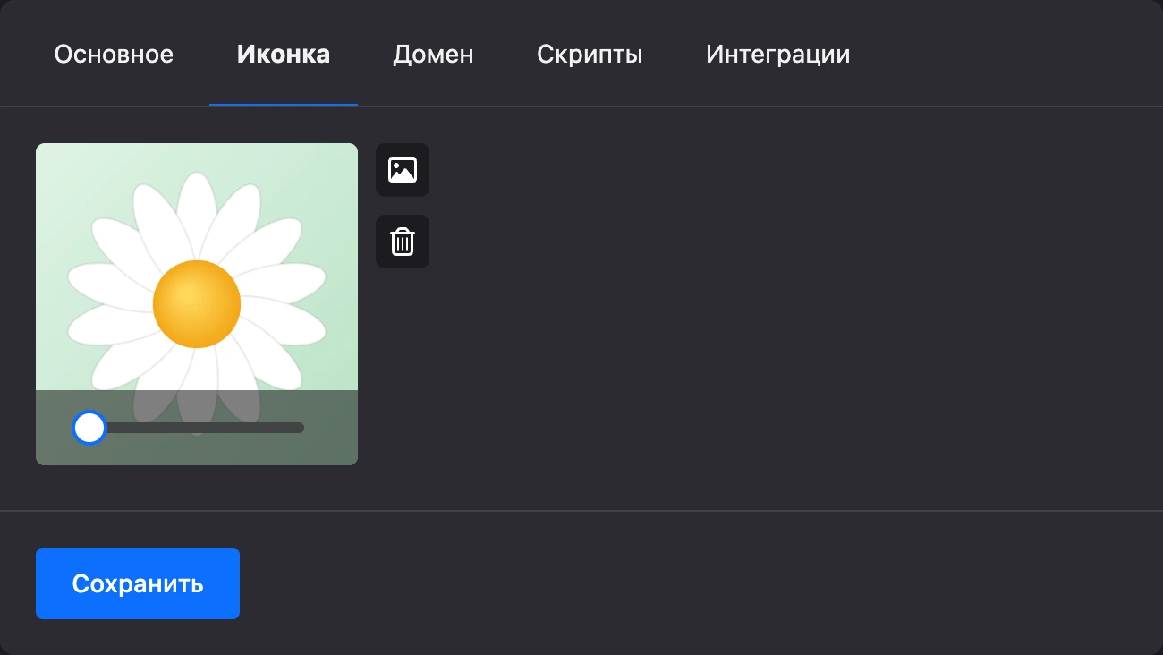 Вкладка «Иконка»: загруженная картинка в рамке с ползунком масштаба